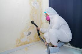 Mold Remediation for Rental Properties in Brices Creek, NC